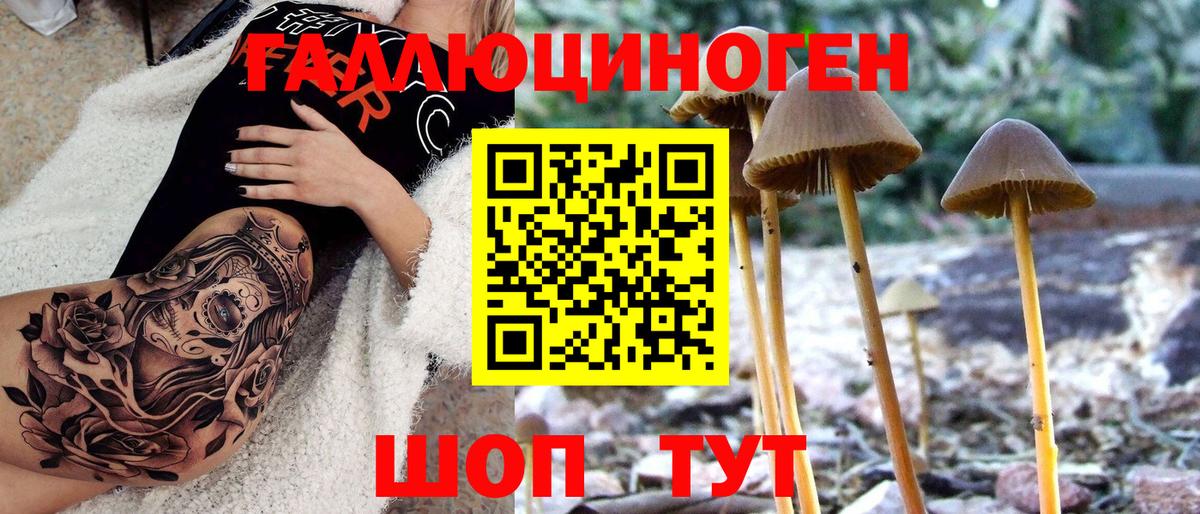 Галлюциногенные грибы Psilocybe  Вход с VPN  Железногорск  Галлюциногенные грибы ЛСД 
